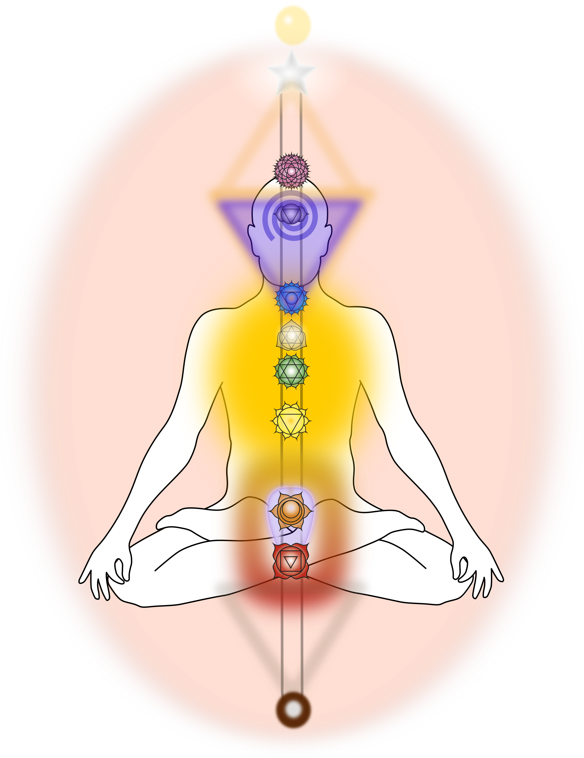 ImageQIT phase 5 umfassende Darstellung